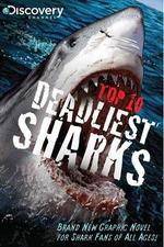 Watch National Geographic Worlds Deadliest Sharks Vumoo