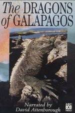 Watch The Dragons of Galapagos Vumoo