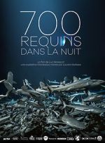 Watch 700 requins dans la nuit Vumoo