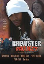 Watch The Brewster Project Vumoo