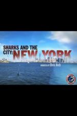 Watch Sharks and the City: New York Vumoo