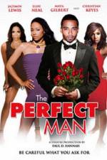 Watch The Perfect Man Vumoo