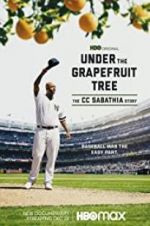 Watch Under the Grapefruit Tree: The CC Sabathia Story Vumoo