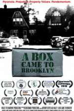 Watch A Box Came to Brooklyn Vumoo
