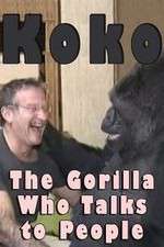 Watch Koko: The Gorilla Who Talks to People Vumoo
