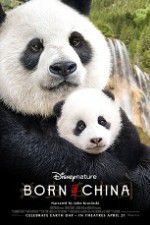 Watch Born in China Vumoo