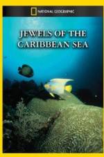 Watch National Geographic Jewels of the Caribbean Sea Vumoo