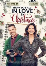 Watch How to Fall in Love by Christmas Vumoo