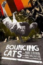 Watch Bouncing Cats Vumoo