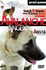 Watch Avalanche Angels Vumoo