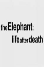 Watch The Elephant - Life After Death Vumoo