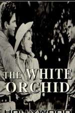 Watch The White Orchid Vumoo