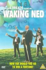 Watch Waking Ned Vumoo