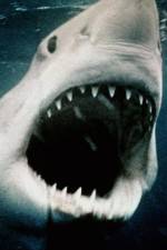 Watch Sharkmania: The Top 15 Biggest Baddest Bloodiest Bites Vumoo