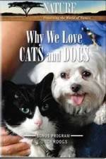 Watch Why We Love Cats And Dogs Vumoo