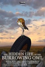 Watch The Hidden Life of the Burrowing Owl (Short 2008) Vumoo