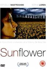 Watch Sunflower Vumoo