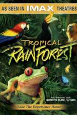 Watch Tropical Rainforest Vumoo