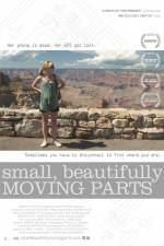 Watch Small Beautifully Moving Parts Vumoo