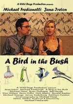 Watch A Bird in the Bush Vumoo