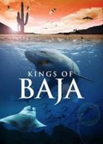 Watch Kings of Baja Vumoo