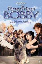 Watch Greyfriars Bobby The True Story of a Dog Vumoo