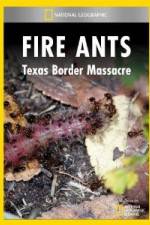 Watch National Geographic Fire Ants: Texas Border Massacre Vumoo