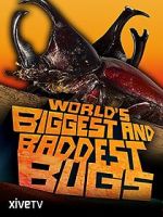 Watch World\'s Biggest and Baddest Bugs Vumoo