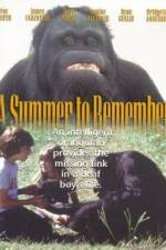 Watch A Summer to Remember Vumoo