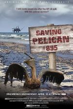 Watch Saving Pelican 895 (Short 2011) Vumoo