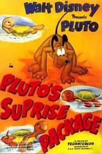 Watch Pluto\'s Surprise Package Vumoo