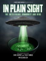 Watch In Plain Sight: The Intelligence Community and UFOs Vumoo