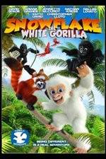 Watch Snowflake, the White Gorilla Vumoo