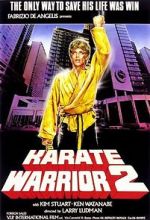 Watch Karate Warrior 2 Vumoo