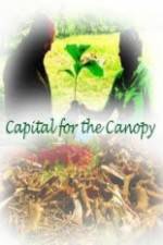 Watch Capital for the Canopy Vumoo