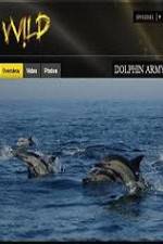 Watch National Geographic Wild Dolphin Army Vumoo