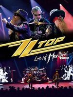 Watch ZZ Top: Live at Montreux 2013 Vumoo