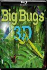 Watch Big Bugs in 3D Vumoo