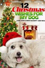 Watch 12 Christmas Wishes For My Dog Vumoo