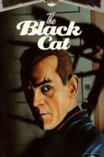 Watch The Black Cat Vumoo
