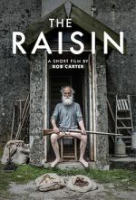 Watch The Raisin (Short 2017) Vumoo