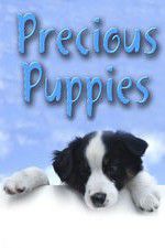 Watch Precious Puppies Vumoo