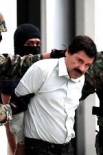 Watch The Rise and Fall of El Chapo Vumoo