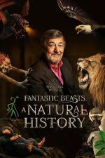 Watch Fantastic Beasts: A Natural History Vumoo