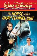 Watch The Horse in the Gray Flannel Suit Vumoo
