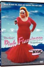 Watch Pink Flamingos Vumoo
