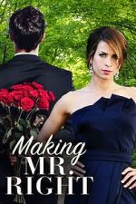 Watch Making Mr. Right Vumoo