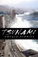 Watch Tsunami: Untold Stories Vumoo