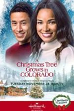 Watch A Christmas Tree Grows in Colorado Vumoo