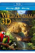 Watch Wild Animals - The Life of the Jungle 3D Vumoo